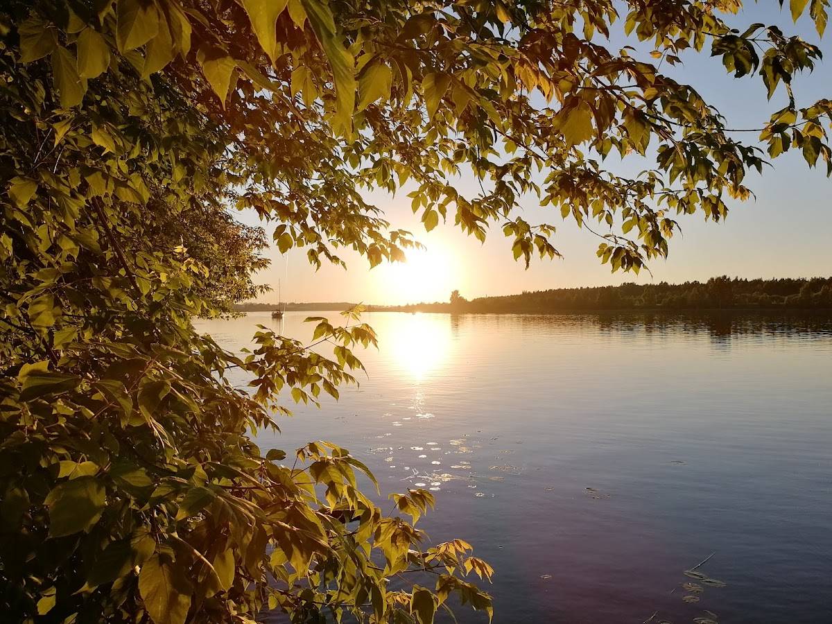 Берёзовая роща меню