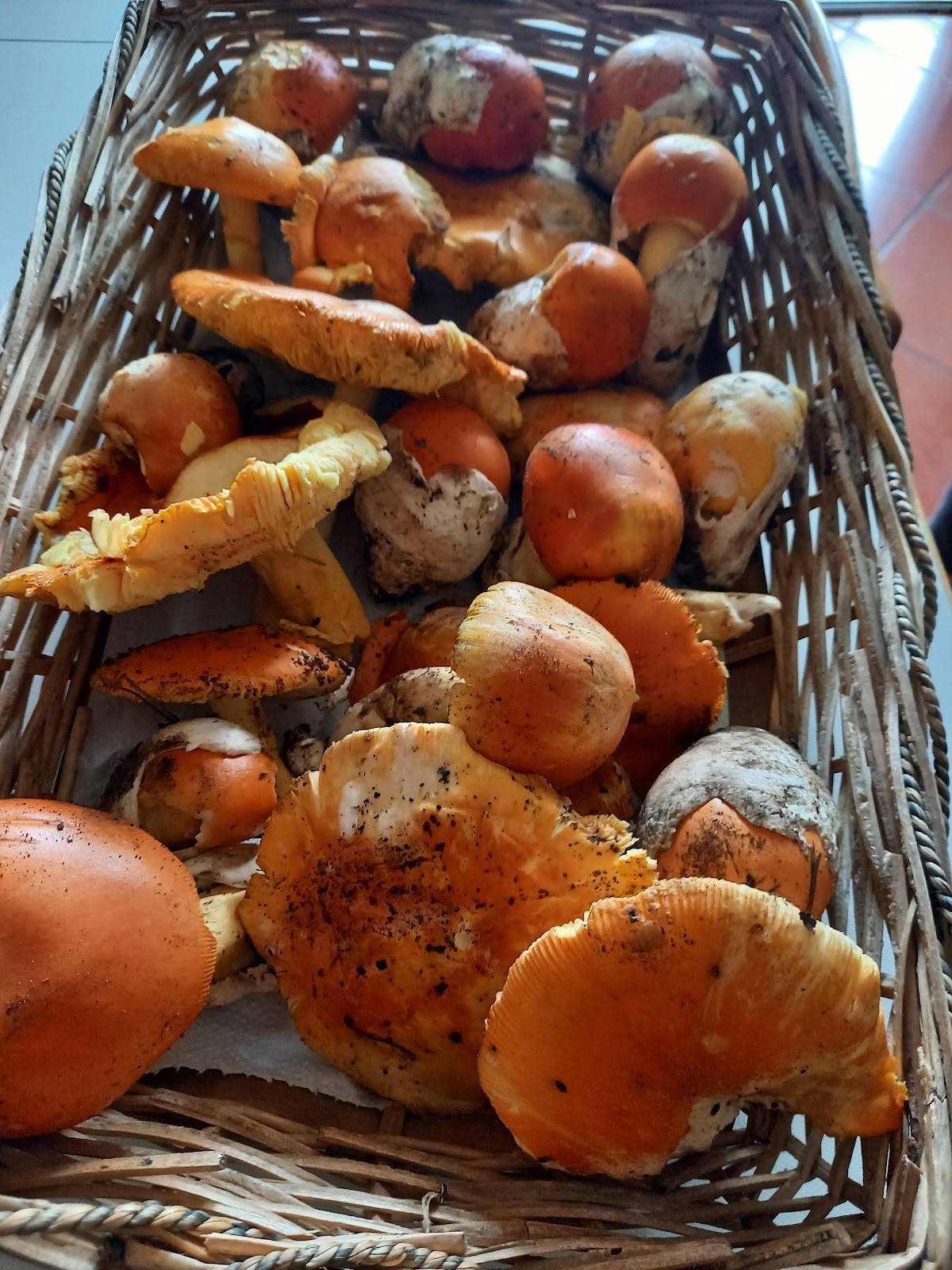 10 e Lode Food & Drink меню