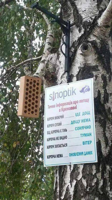 Спорт-бар меню