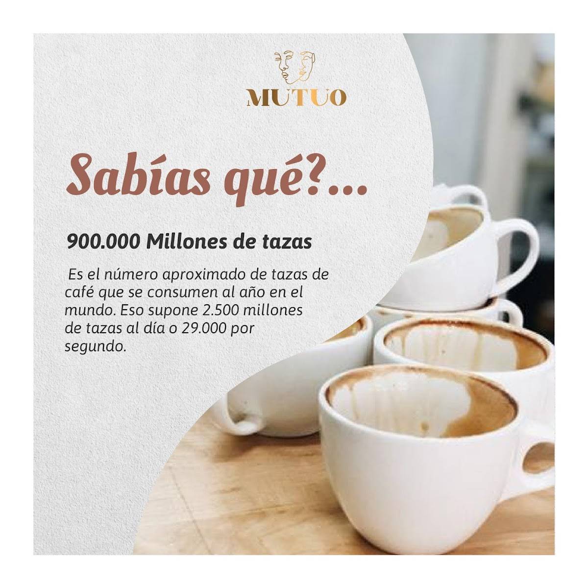Café Mutuo меню