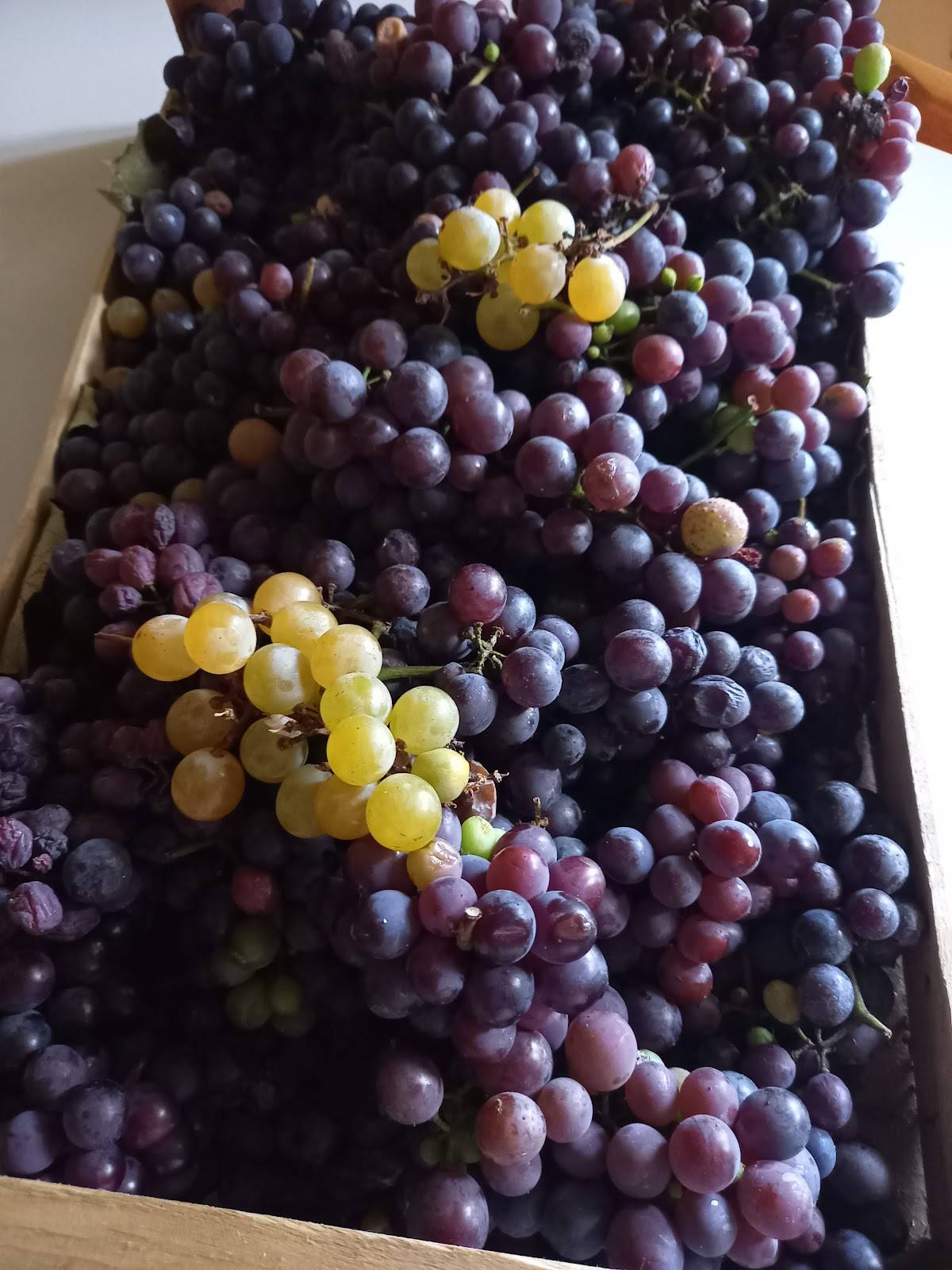 10 e Lode Food & Drink меню