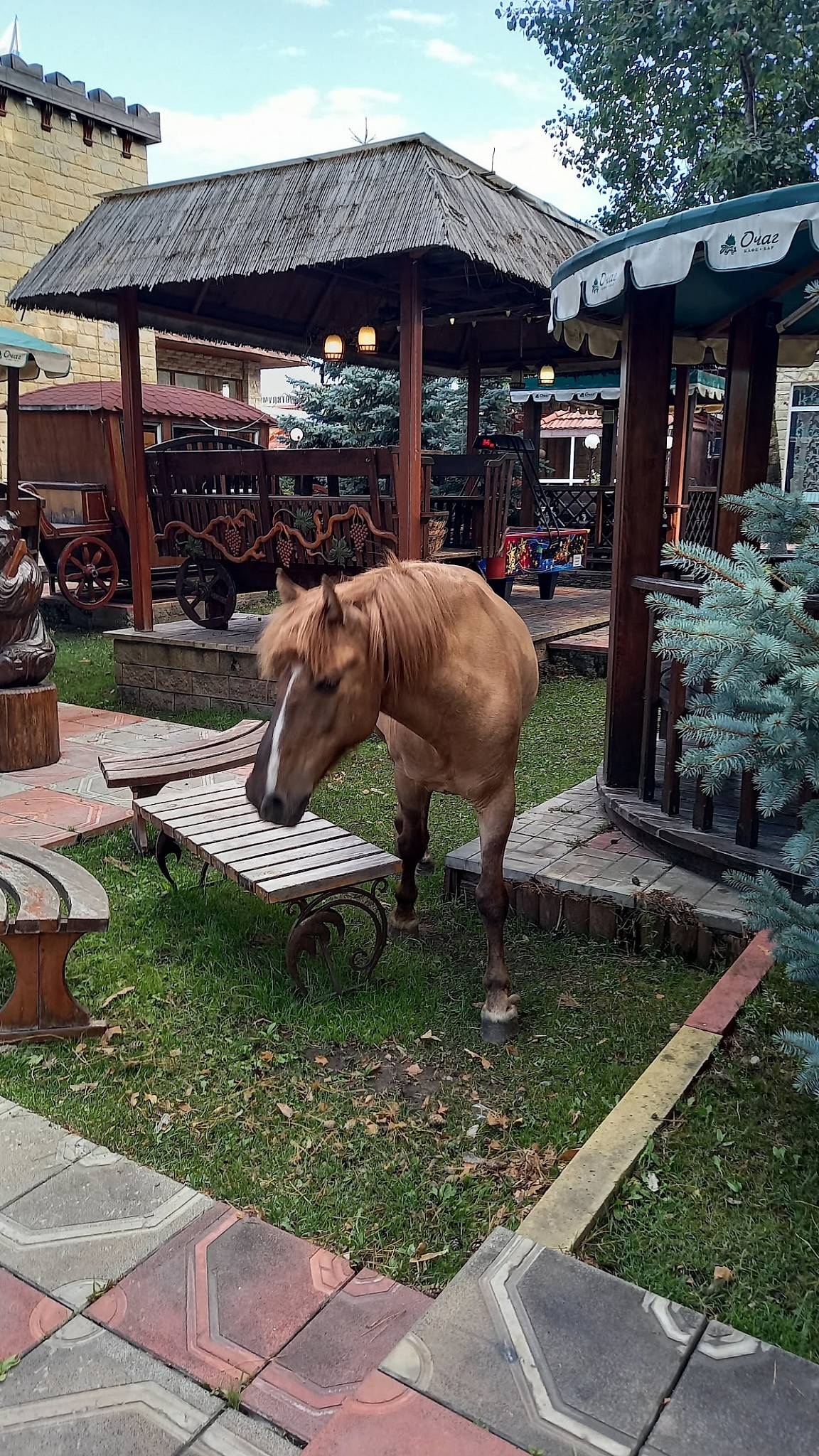 Очаг меню