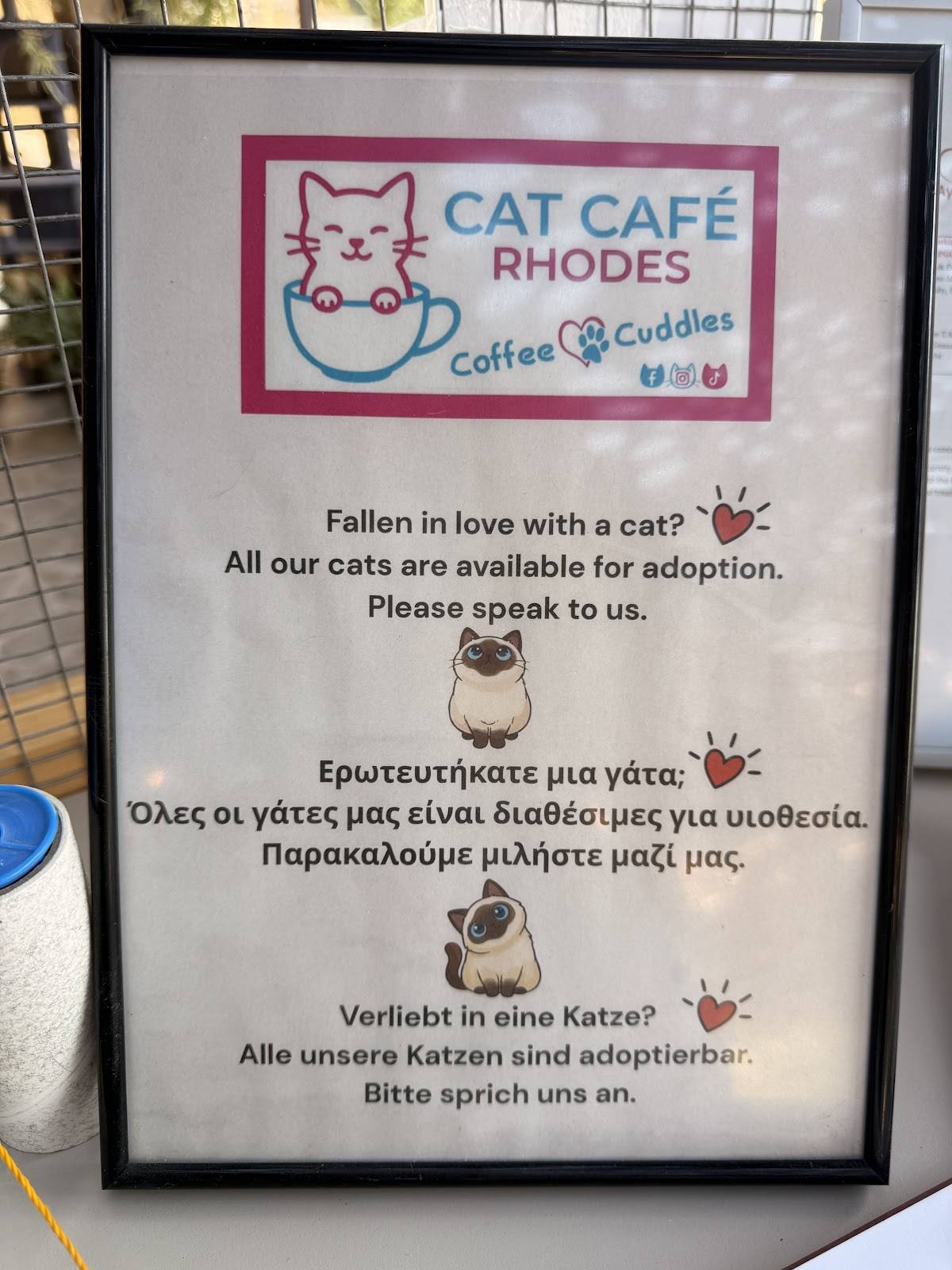 Cat Cafe Rhodos меню