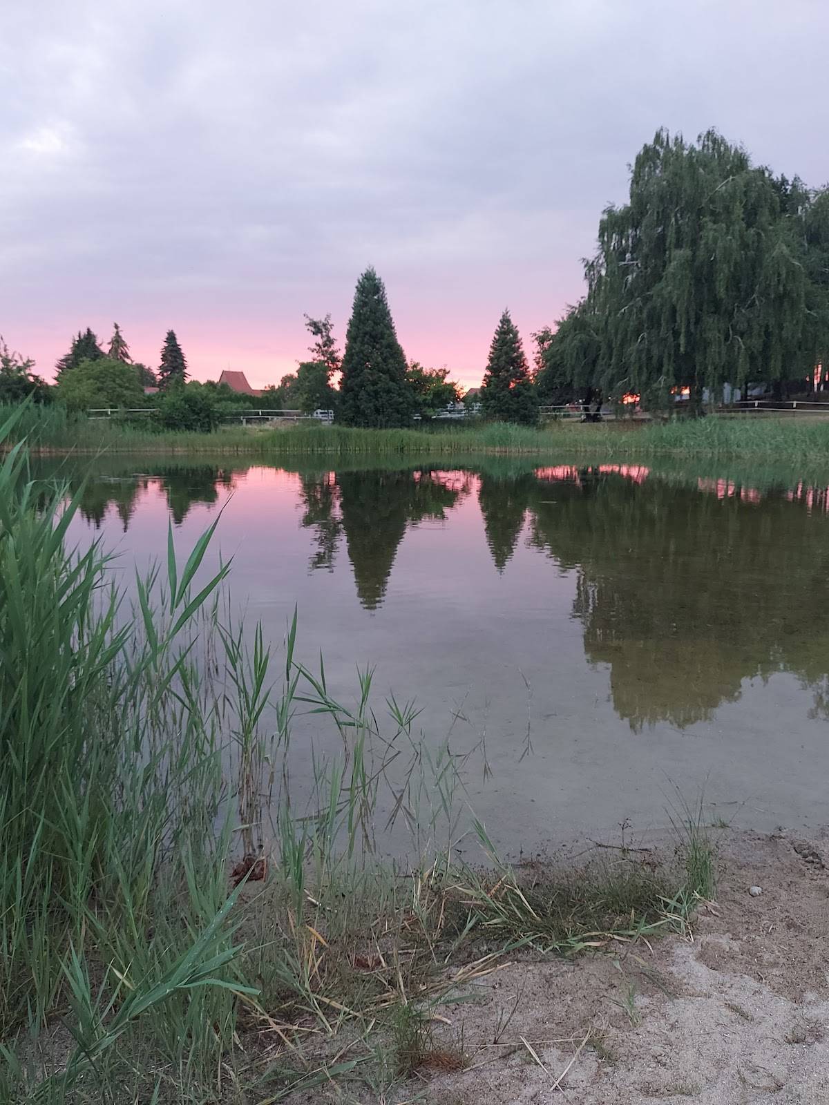 Kur- & Landhotel Borstel-Treff меню
