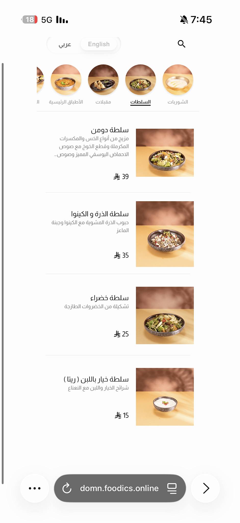 دومن Domn меню