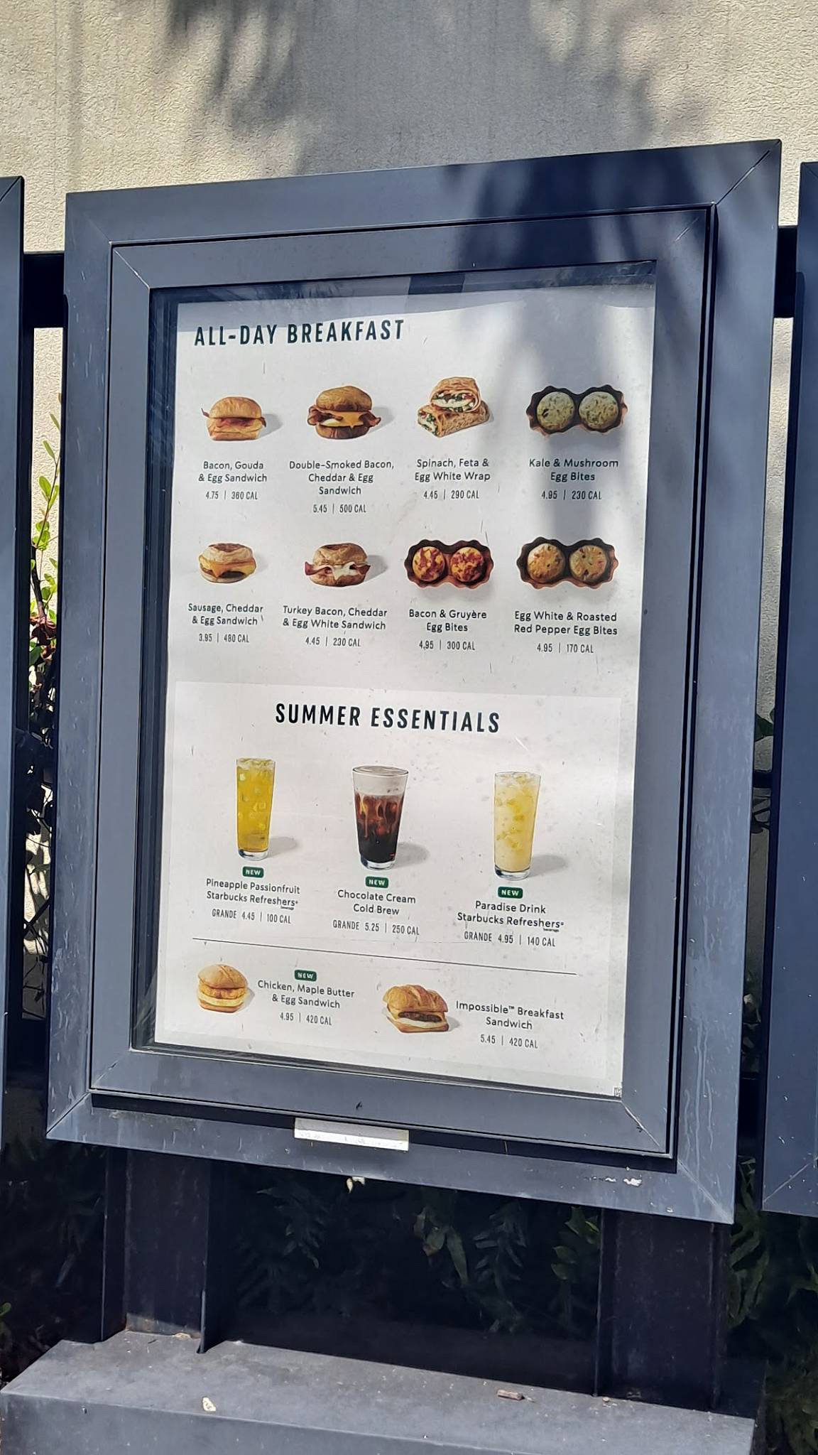 Starbucks Coffee Company меню