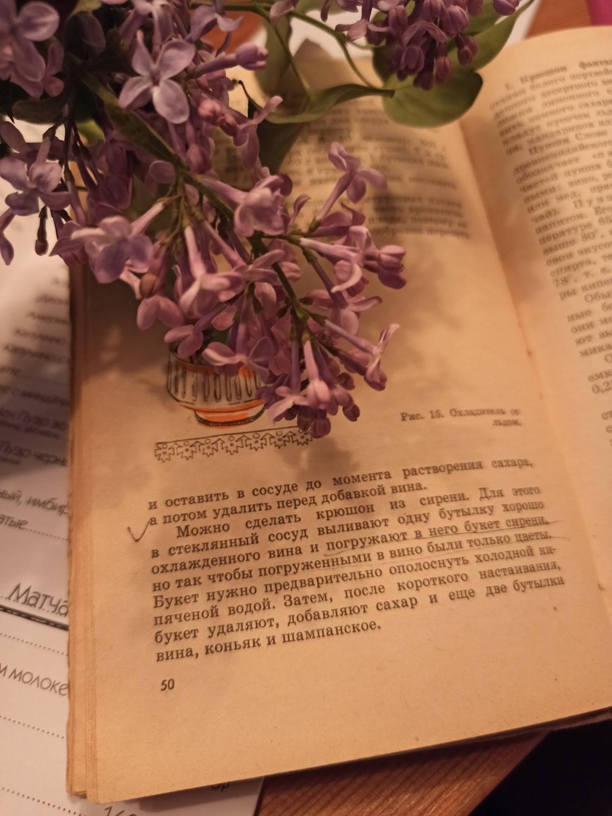 In Vino меню