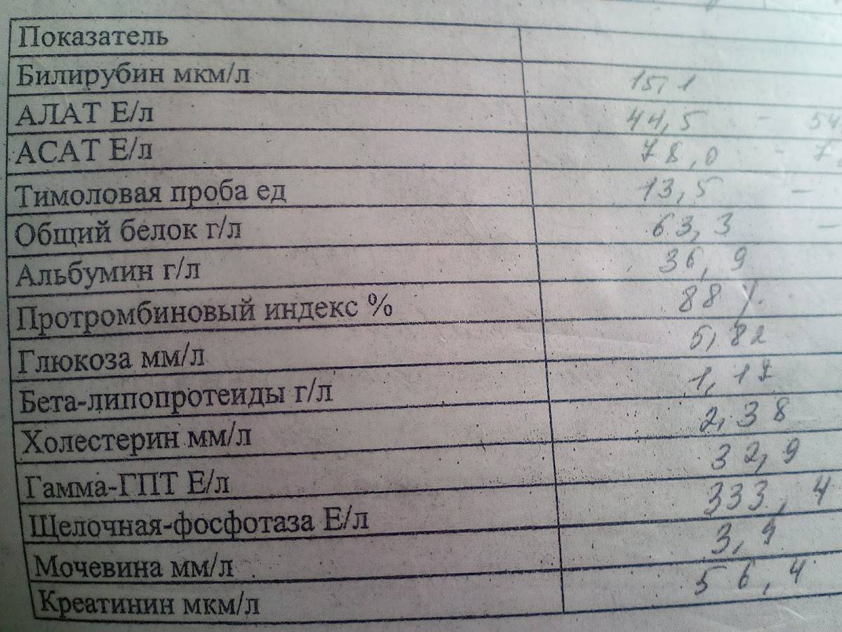 Mahaon меню