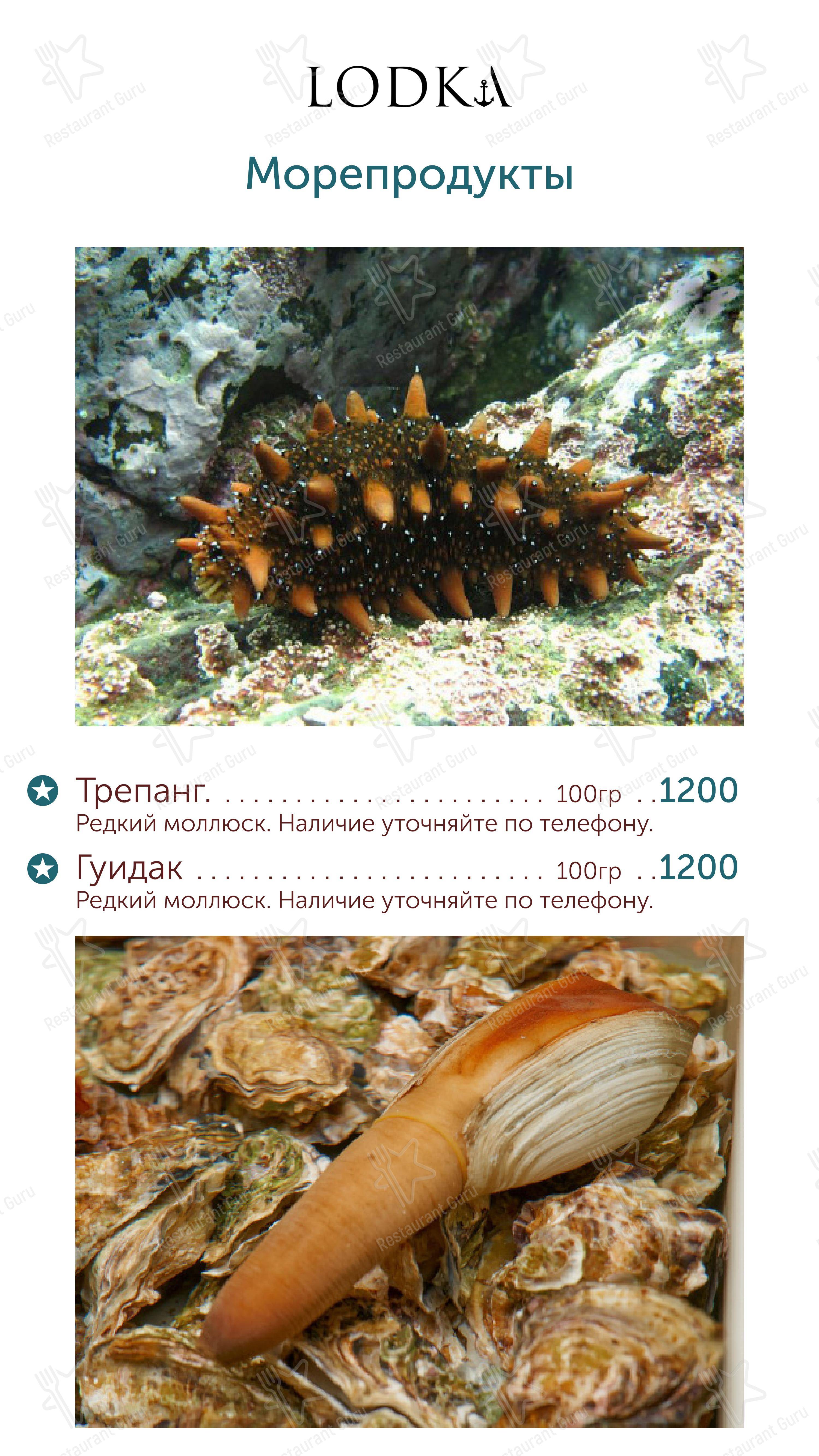 Меню ресторана Лодка - Меню