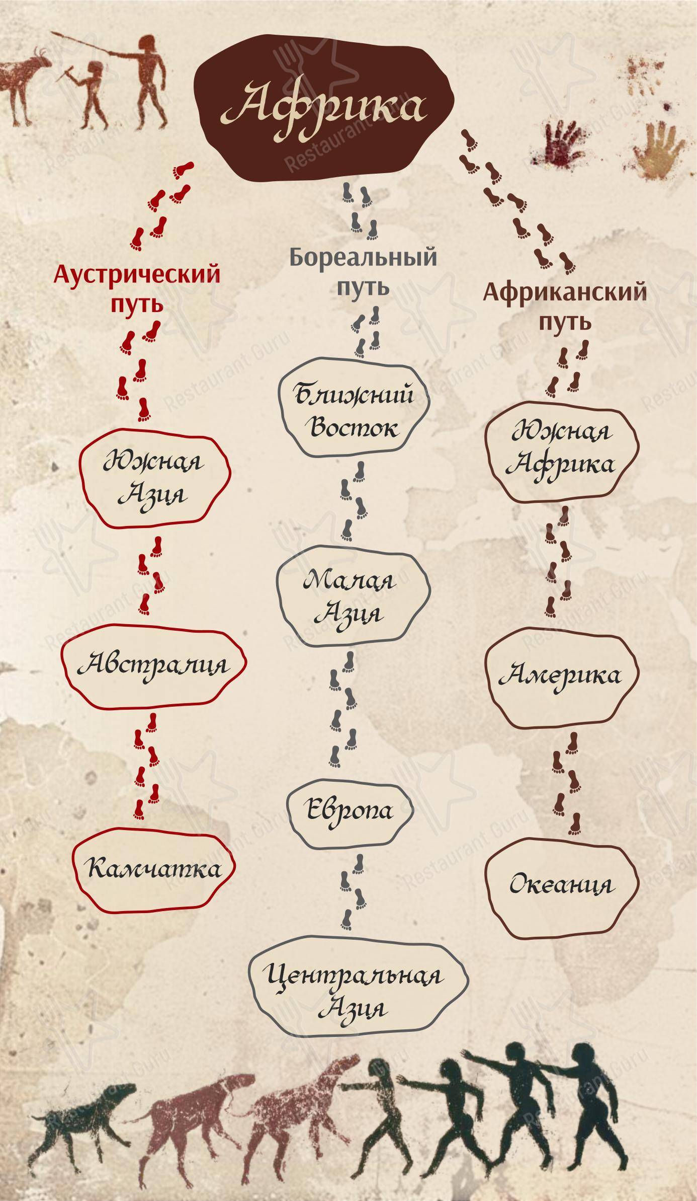 Меню напитков ресторана Sapiens в Москве