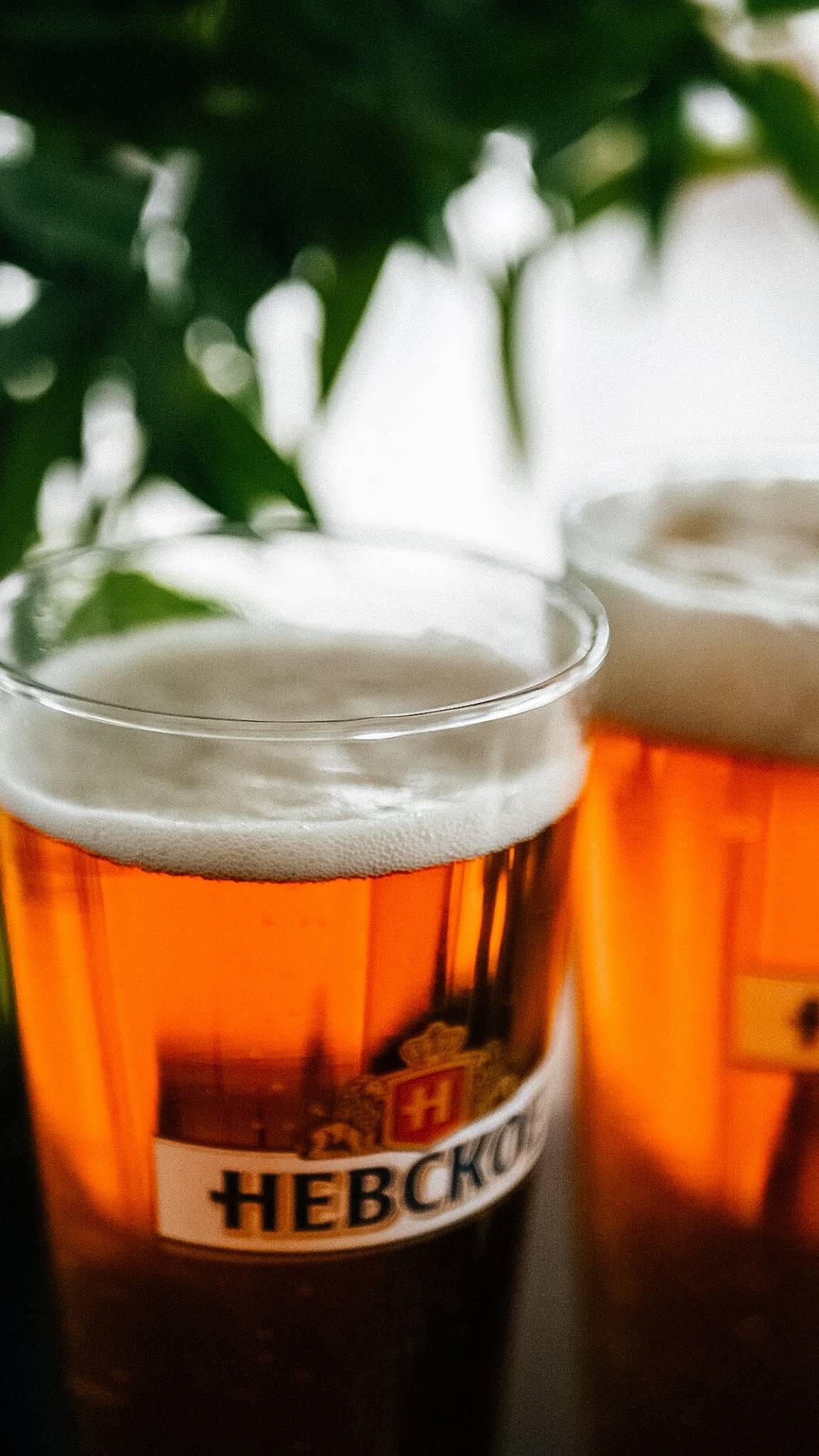 Панорама меню