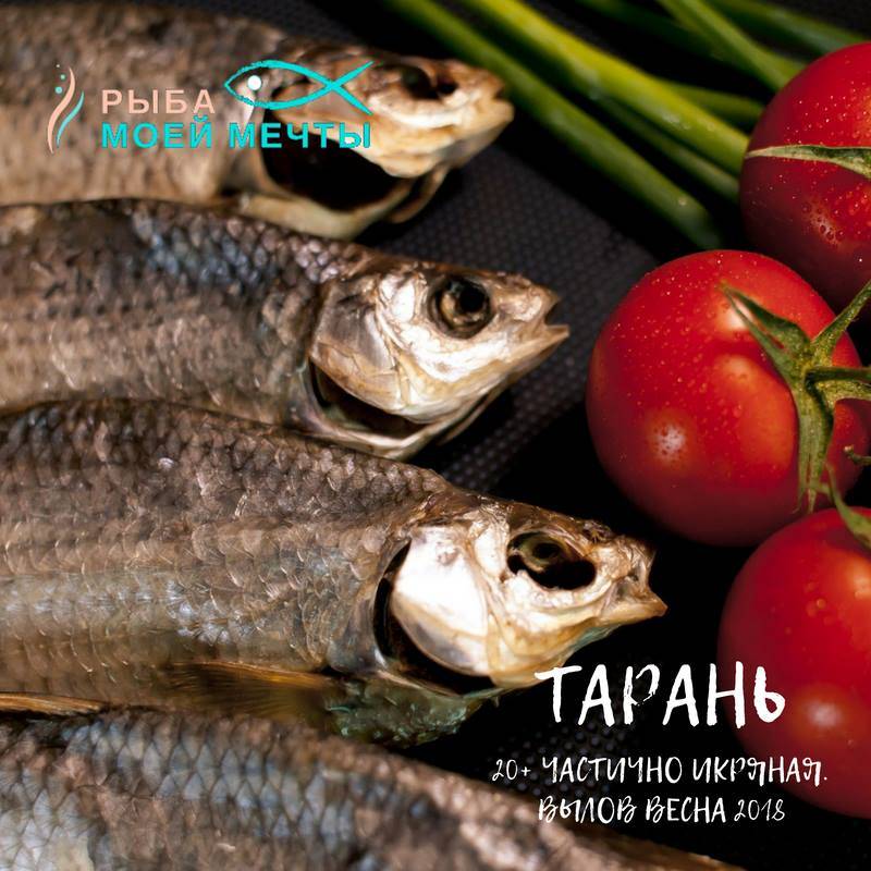 Рыба моей мечты Krasnodar меню