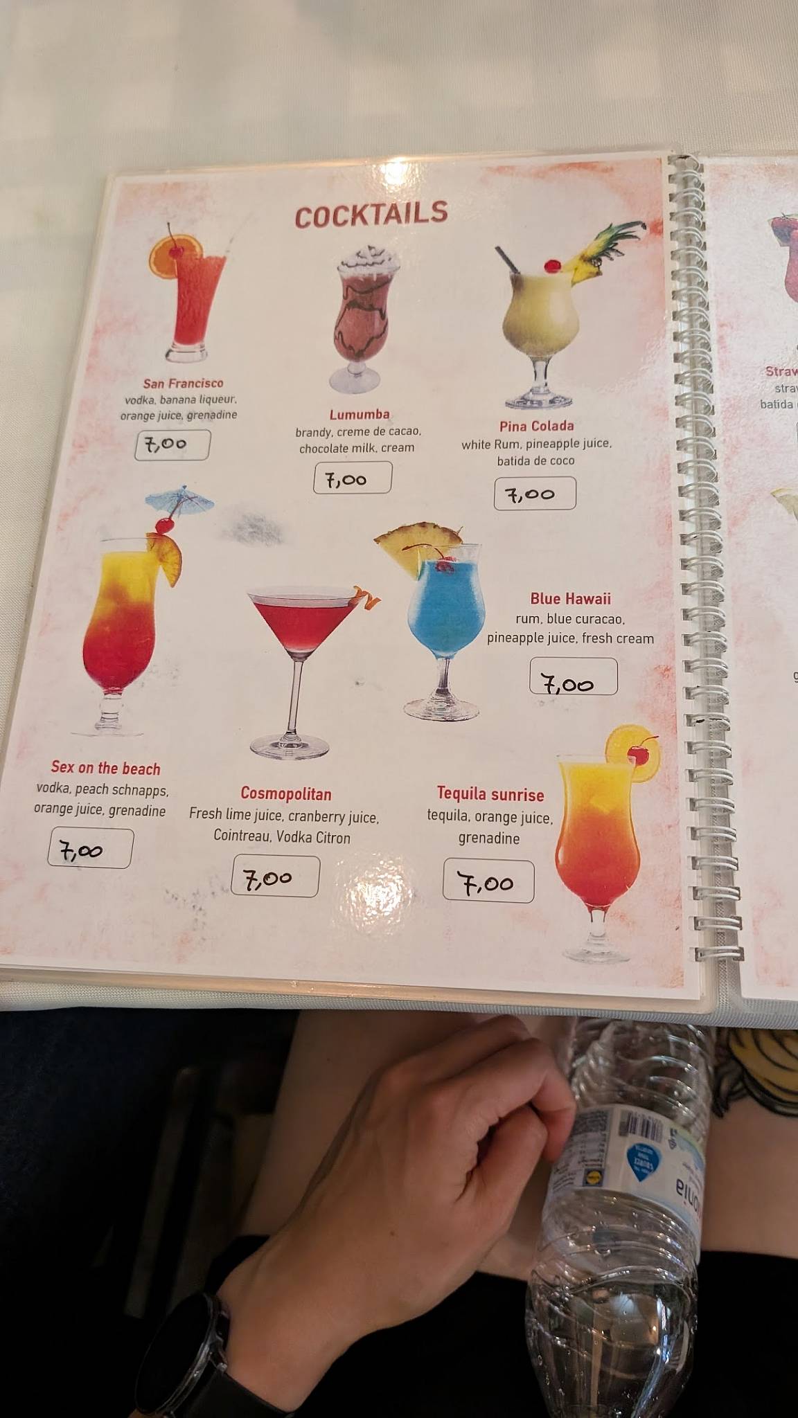 Gyropolis меню