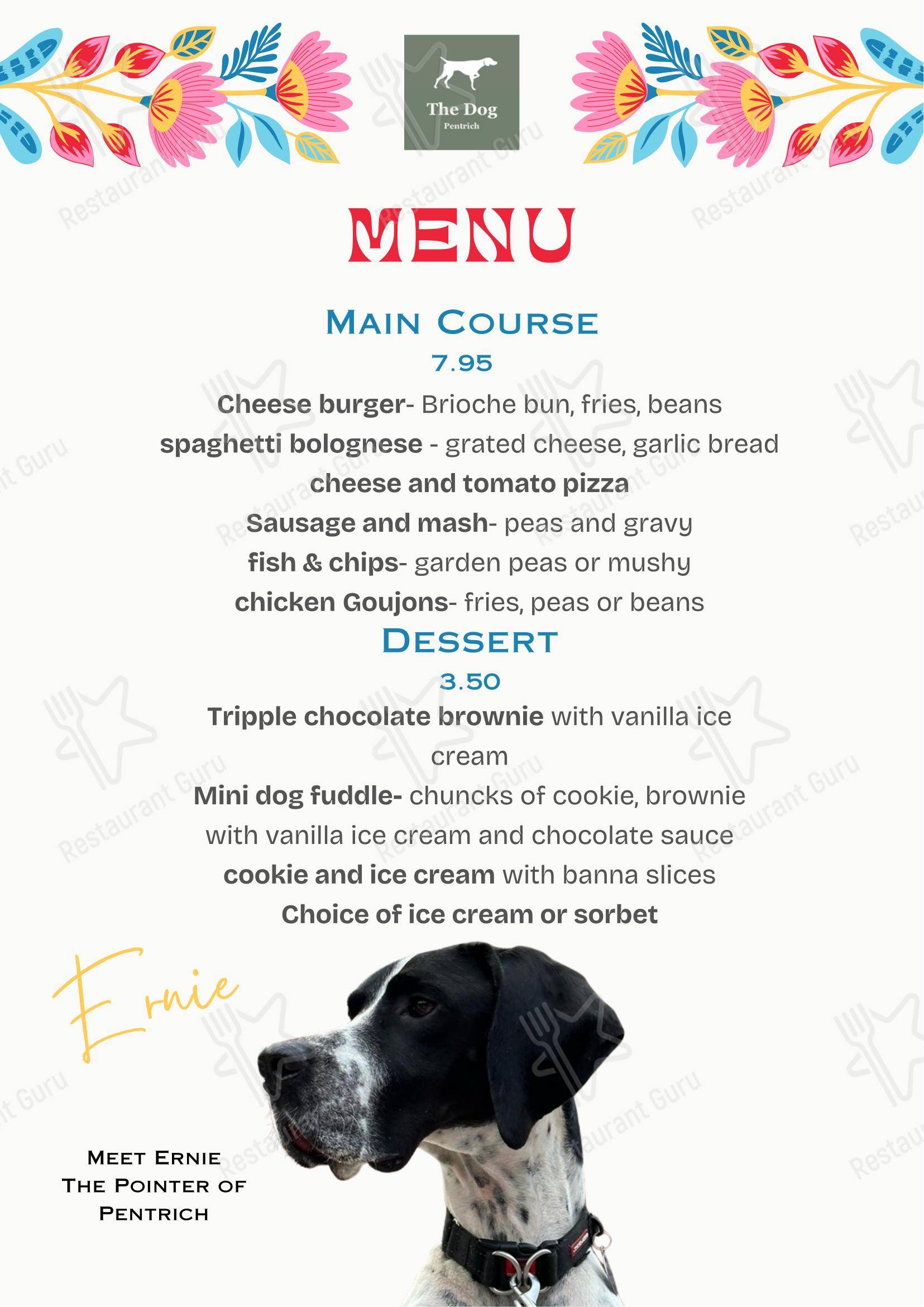 Детское паба и бара The Dog at Pentrich в Риплях