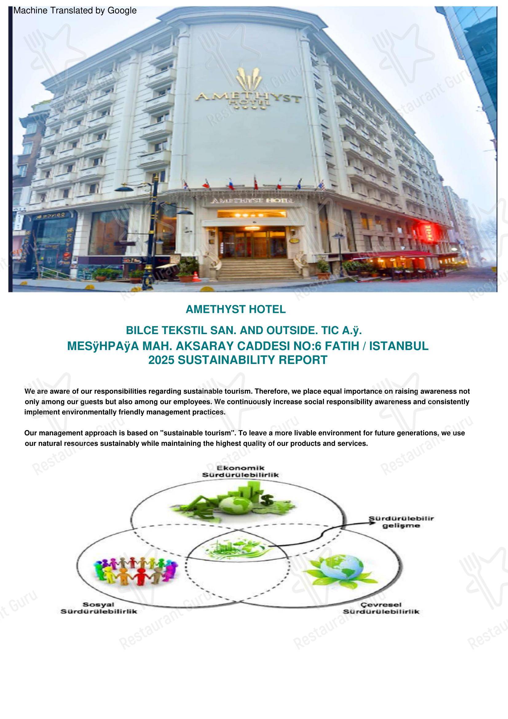 Amethyst Restaurant в Стамбуле - 菜单