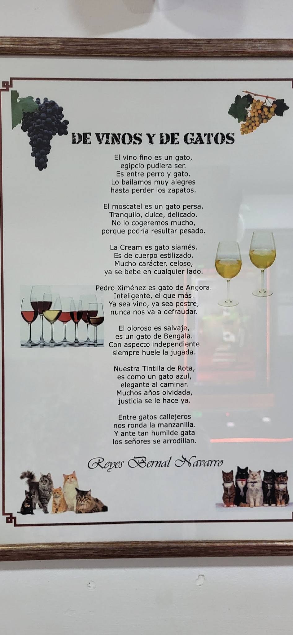 Bar Taperia El Gato меню