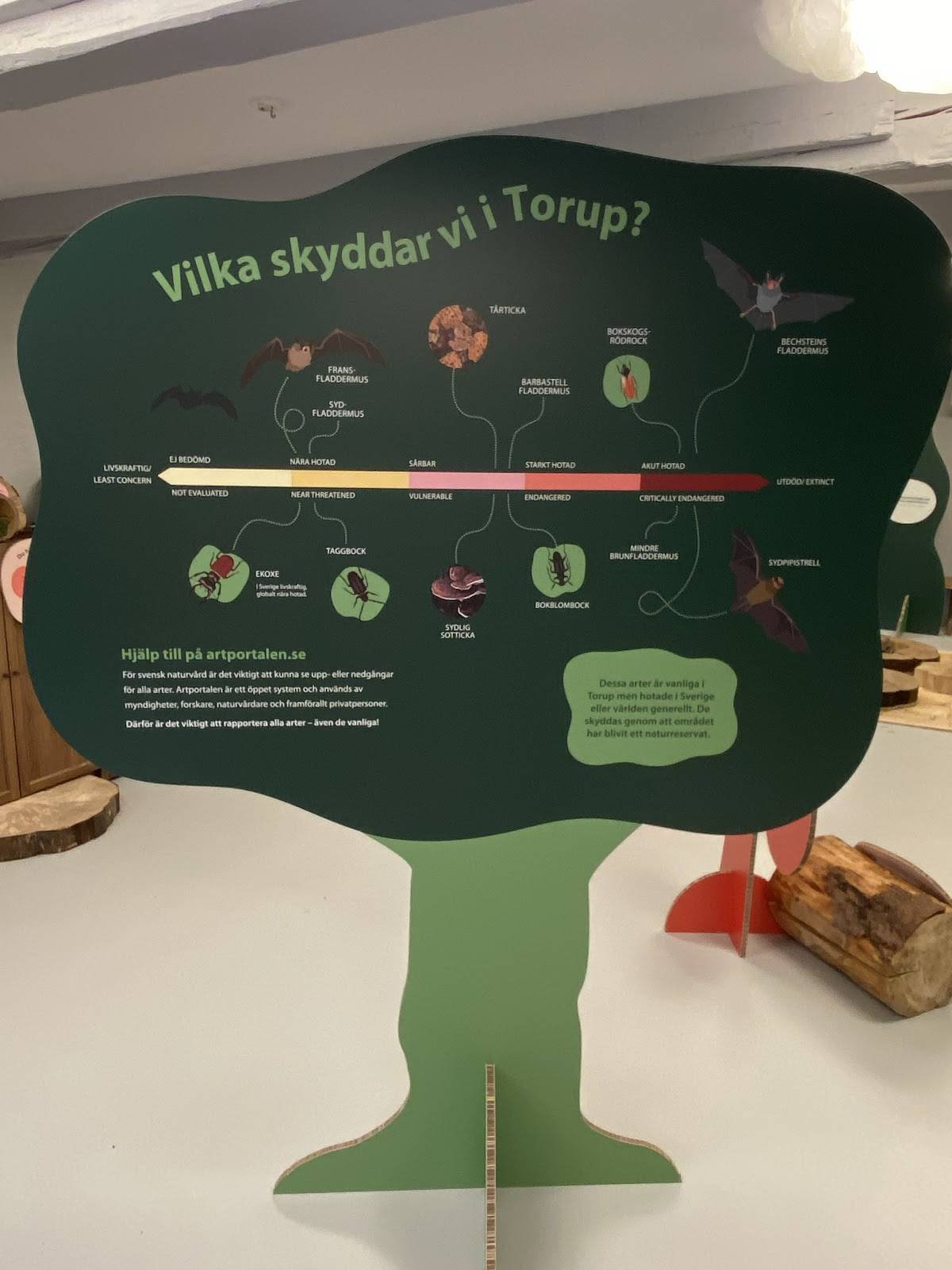Torups friluftsgård меню