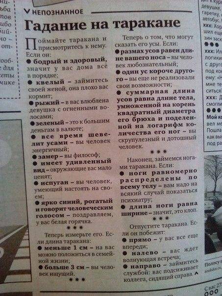 Бригантина меню
