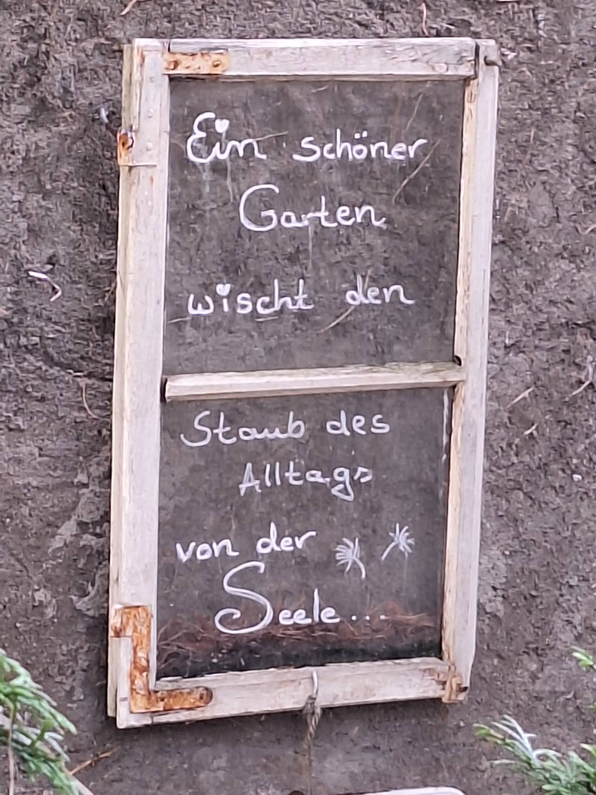 Café Pusteblume меню
