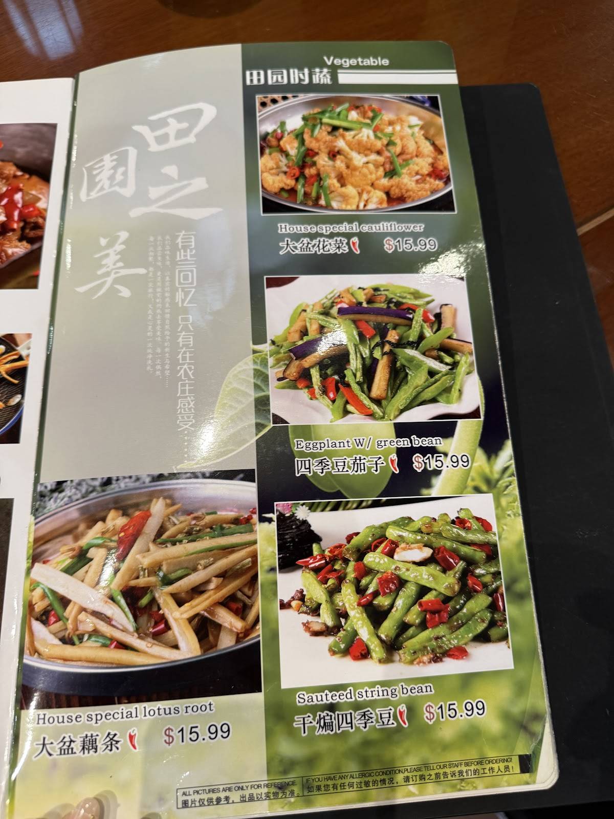 Hunan Chef меню