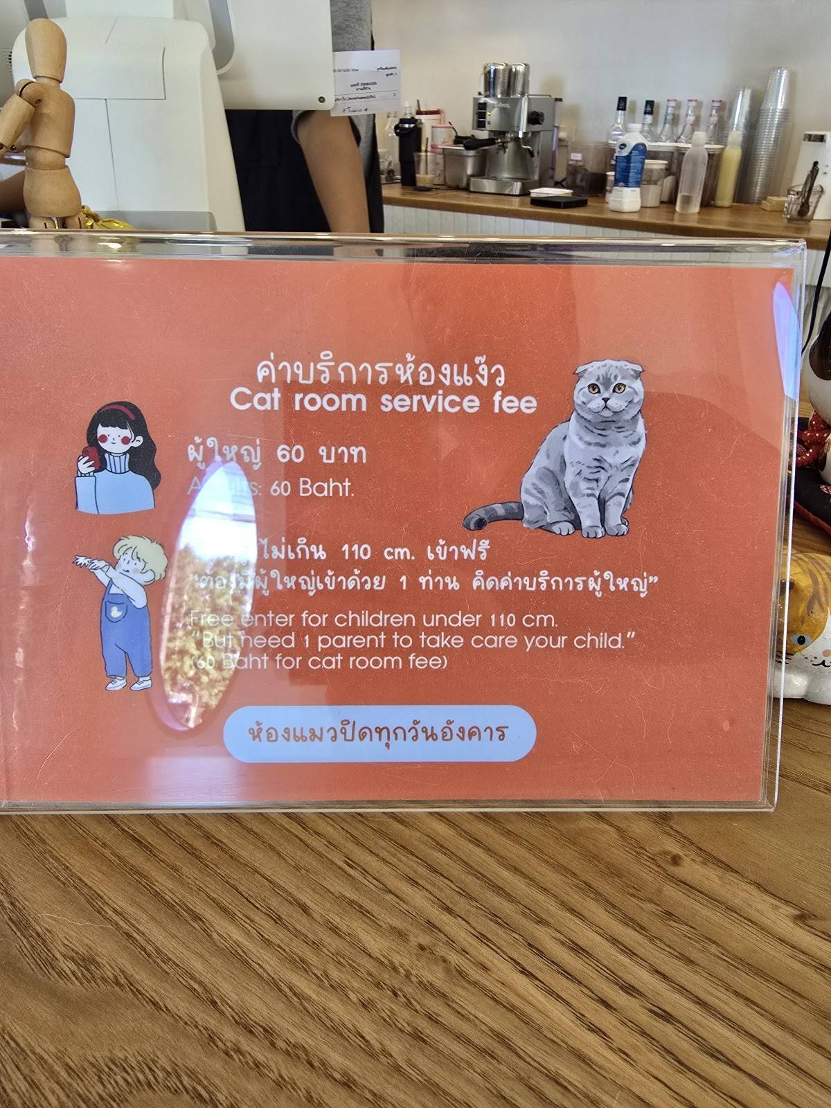 Spring day cafe меню