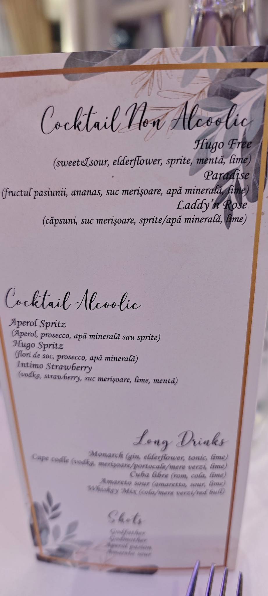 Restaurantul Akropolis меню