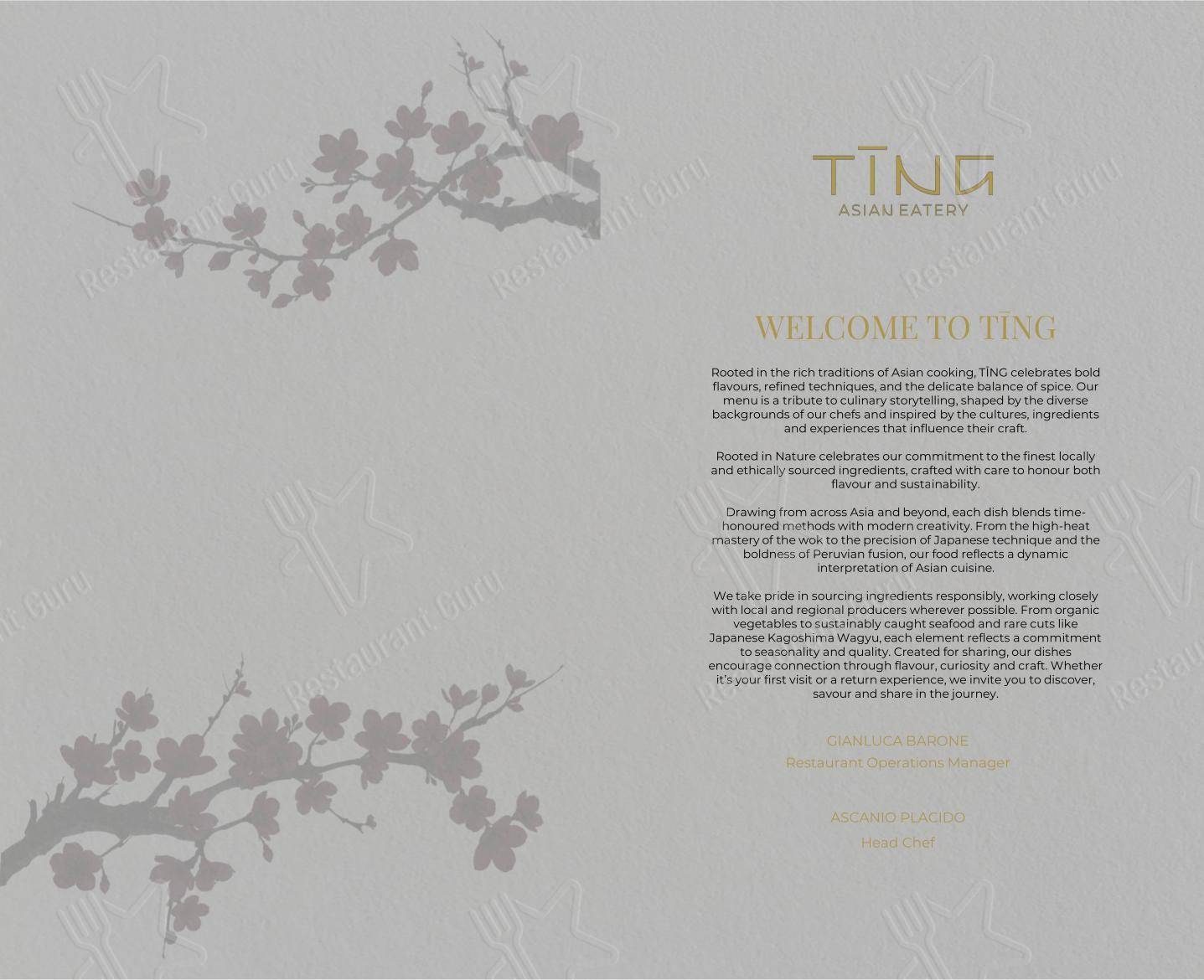 Takeaway Menu ресторана TĪNG