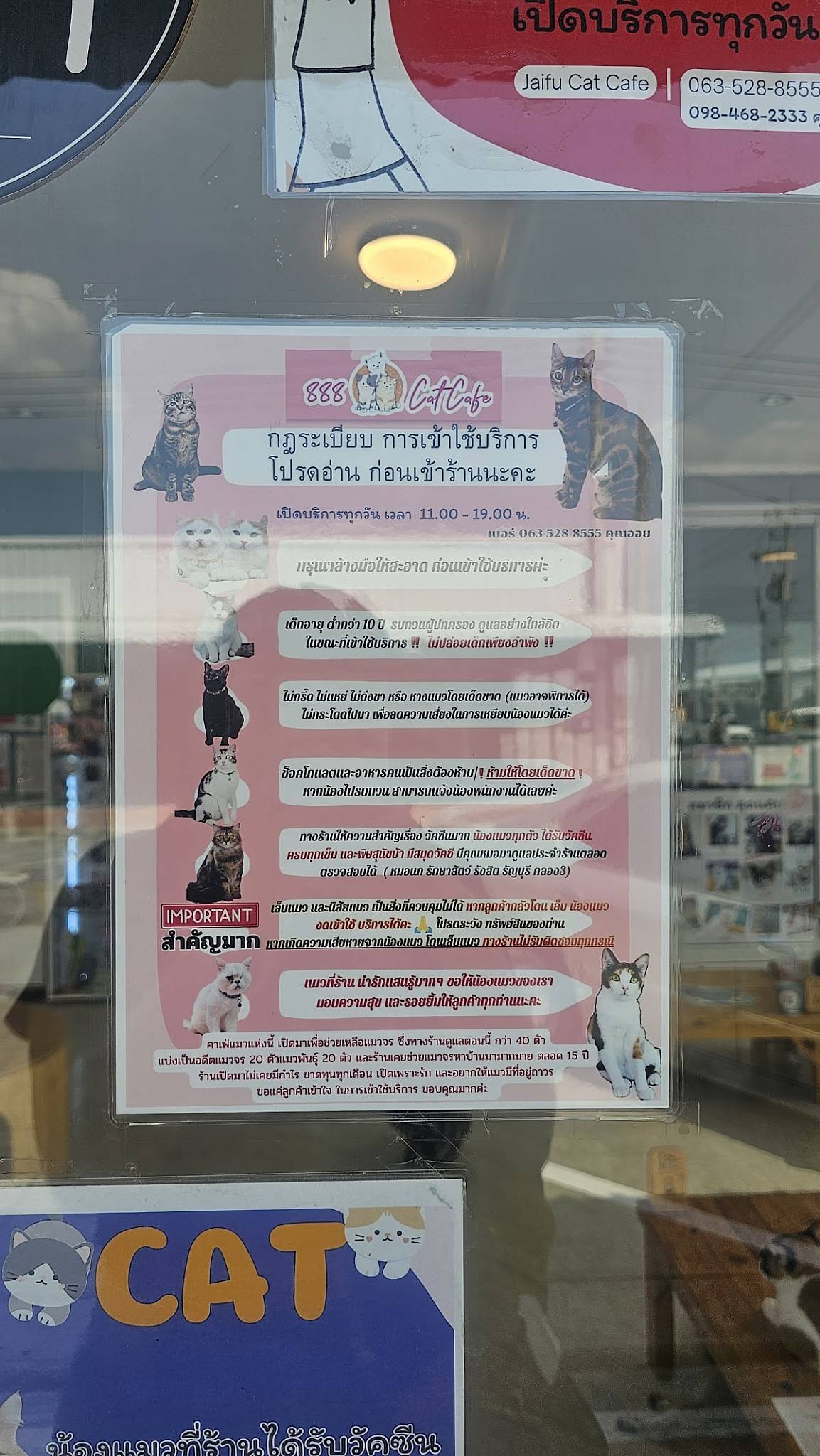 888 Cat Cafe меню