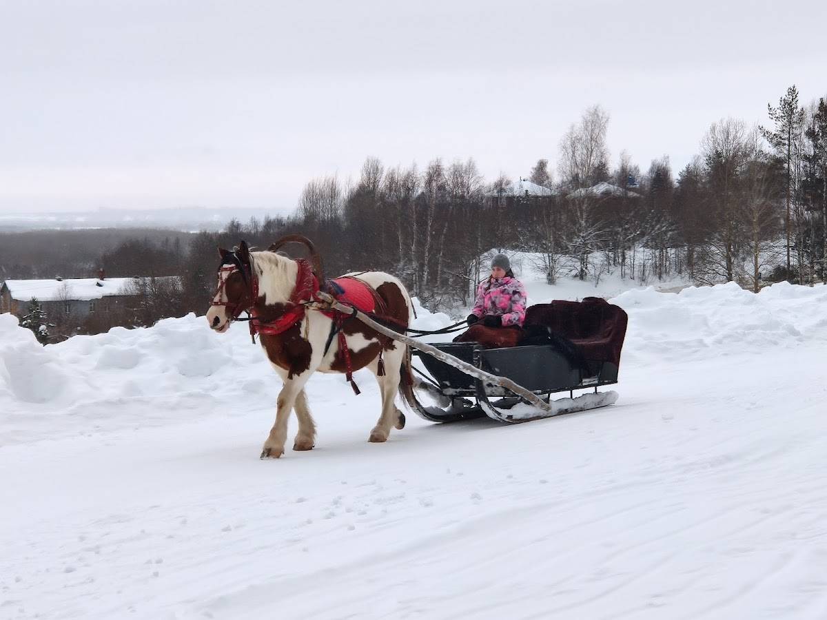 Малые Карелы меню