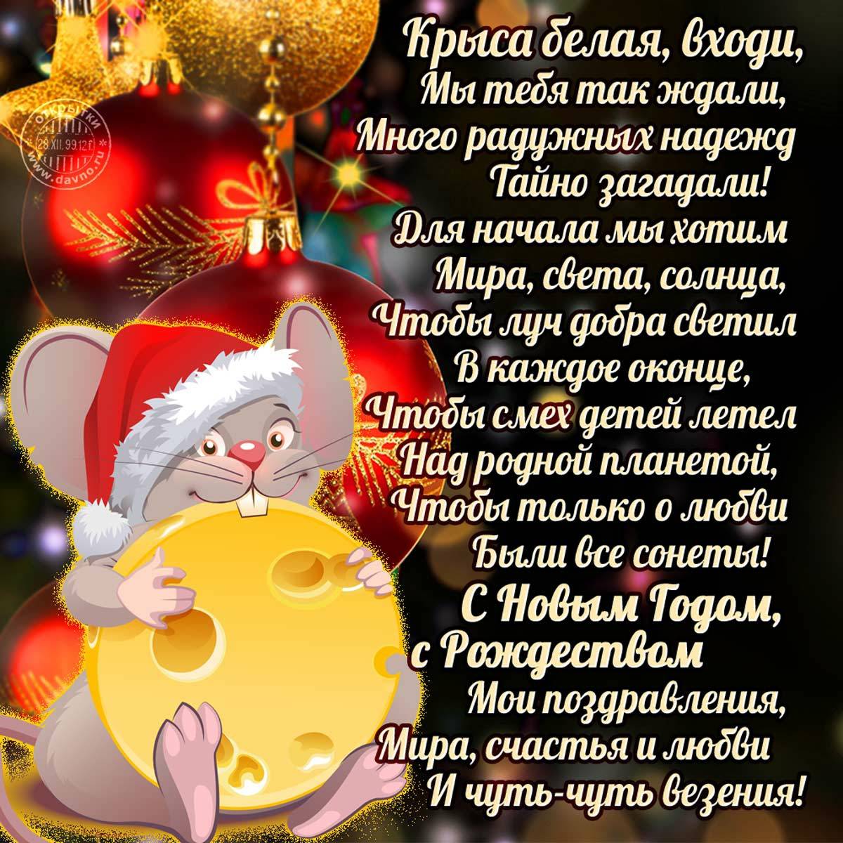 Бар Чинар меню