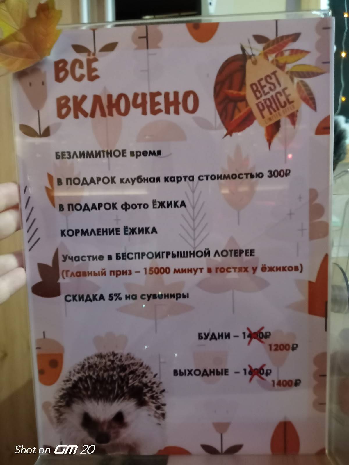 Ежеминутка меню