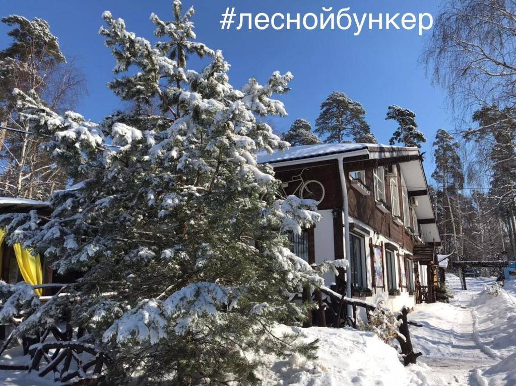 Лесной бункер меню