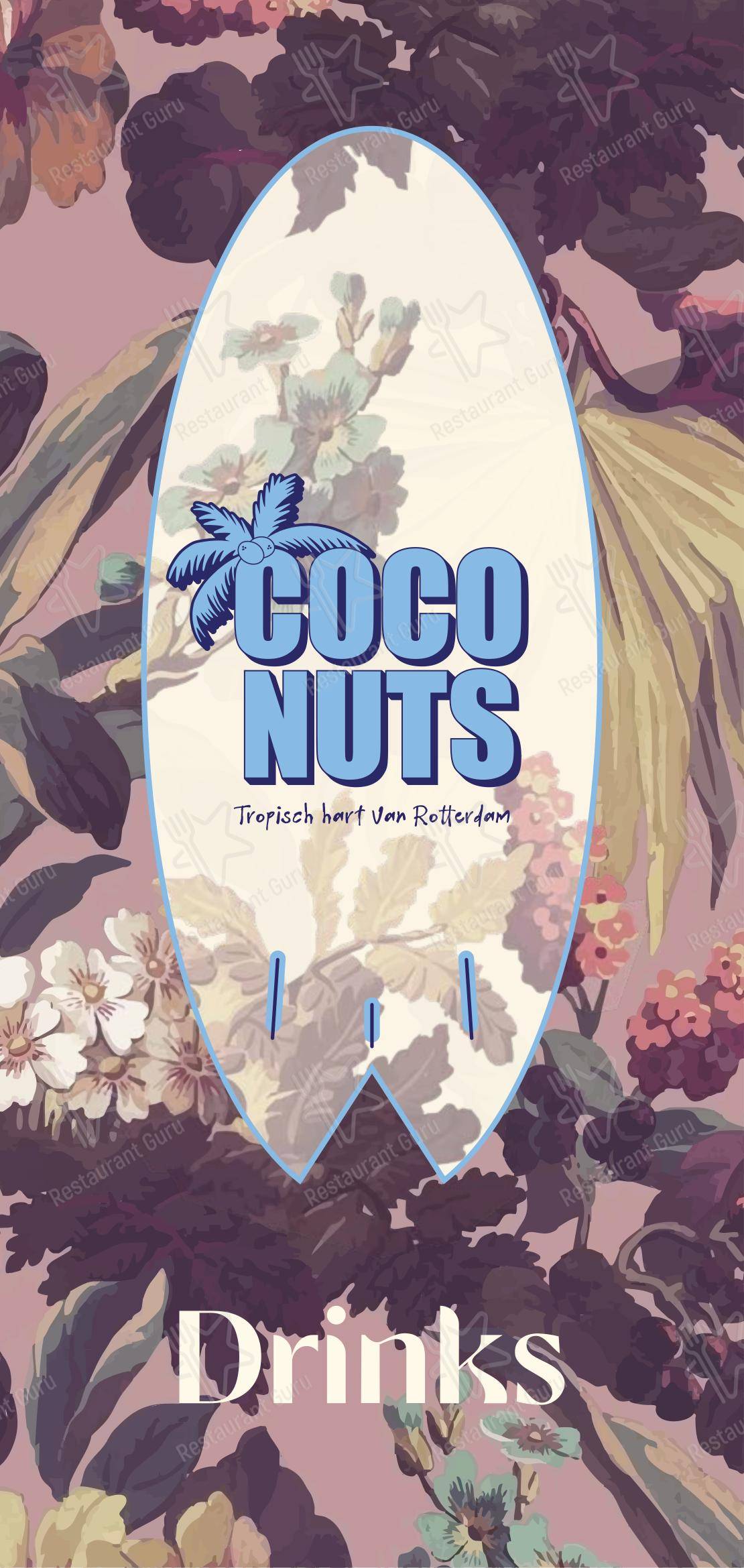 Детское паба и бара Coconuts в Роттердаме