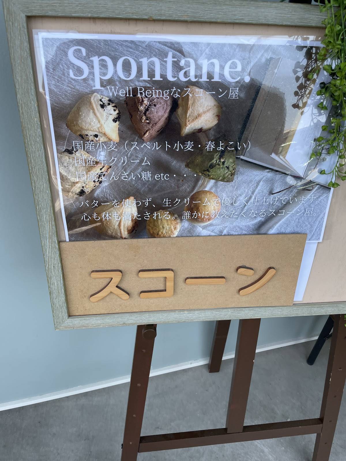 Spontane меню