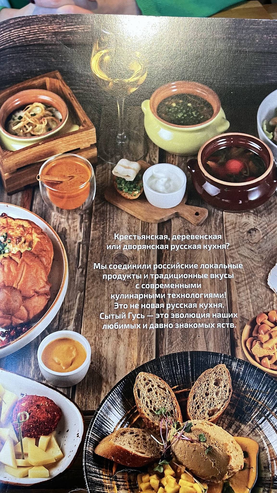 Сытый гусь меню