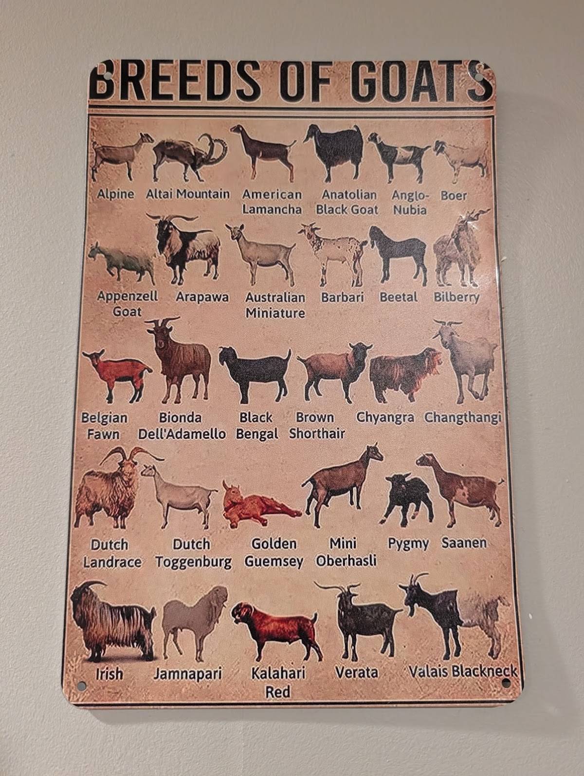 Rodeo Goat меню