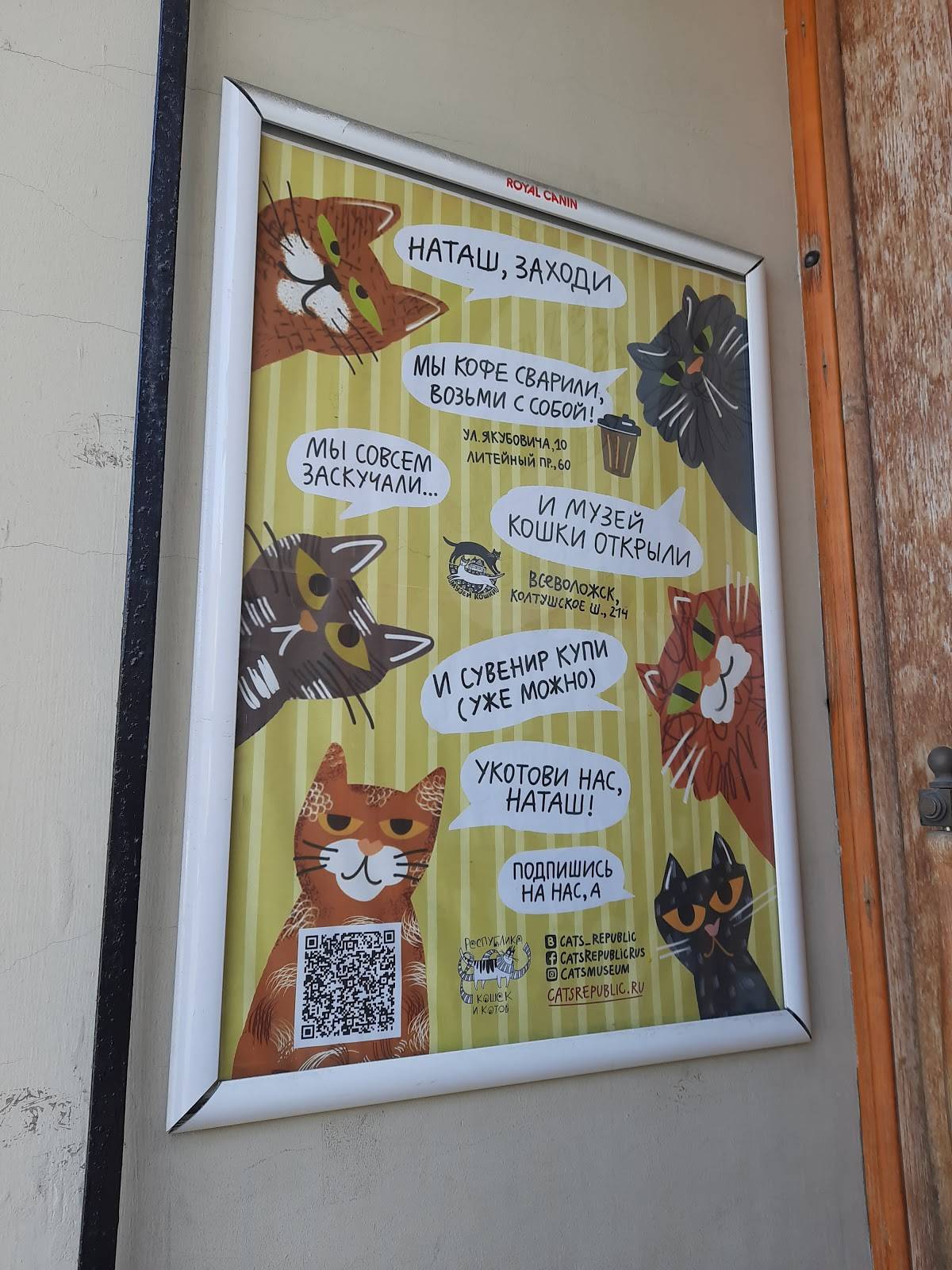 Республика кошек меню