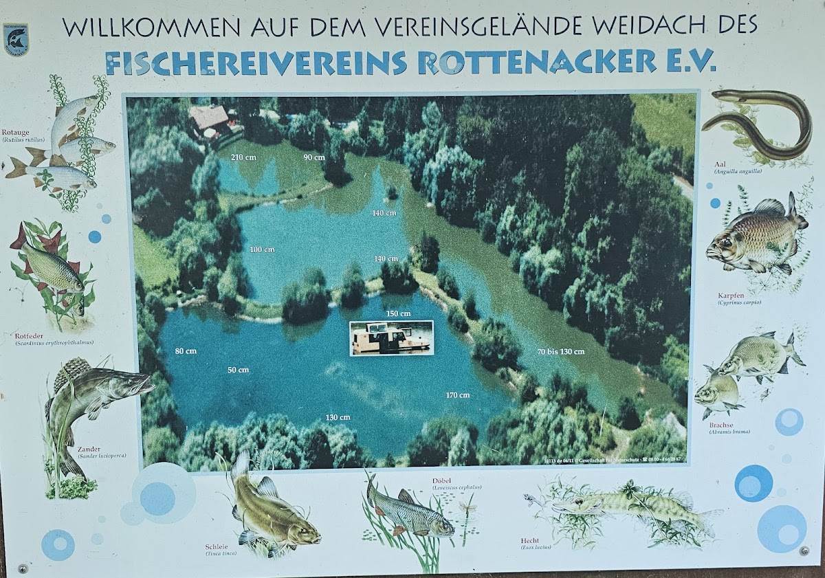 Gaststätte zur Fischerhütte меню