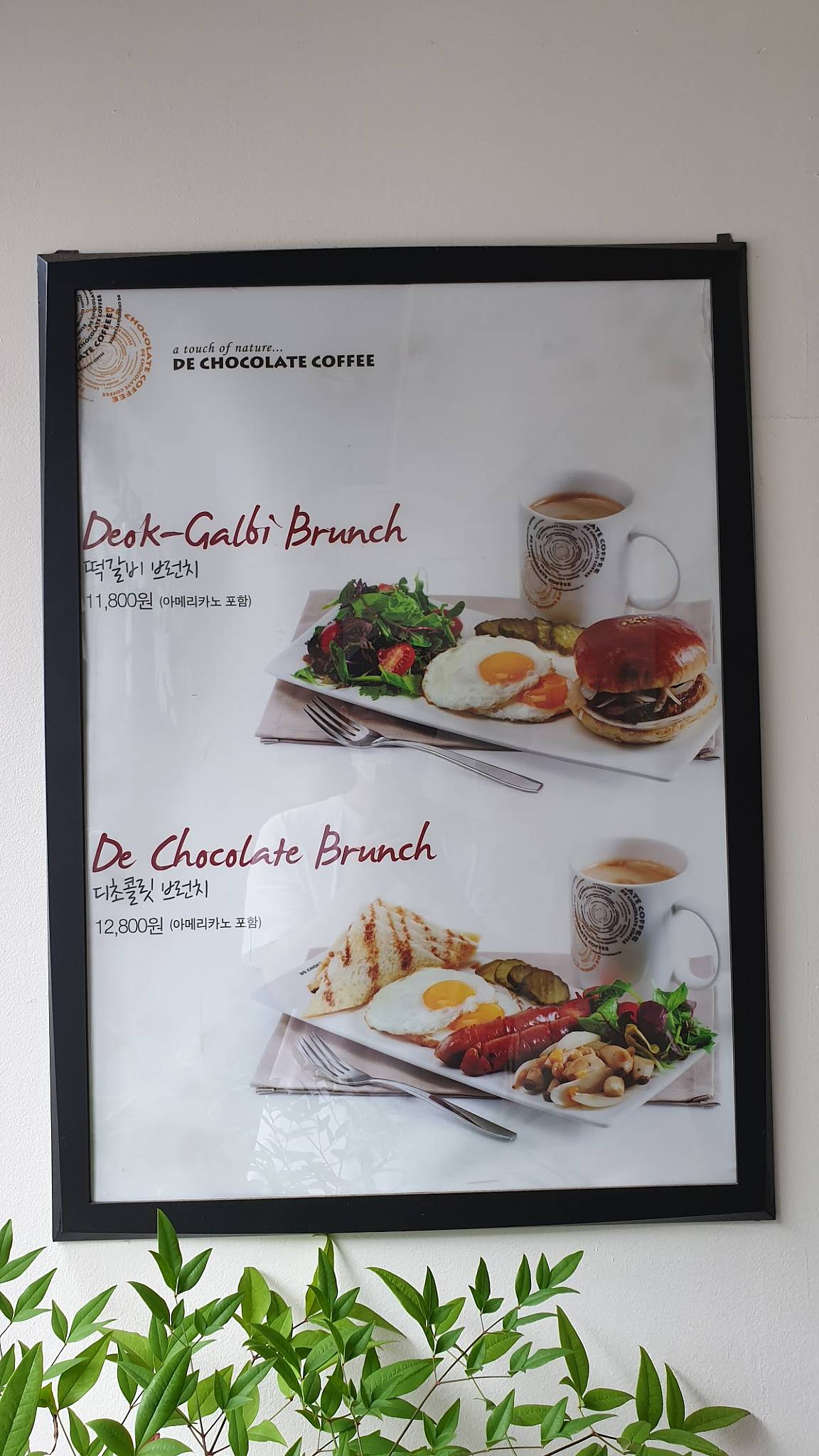 디초콜렛커피 меню