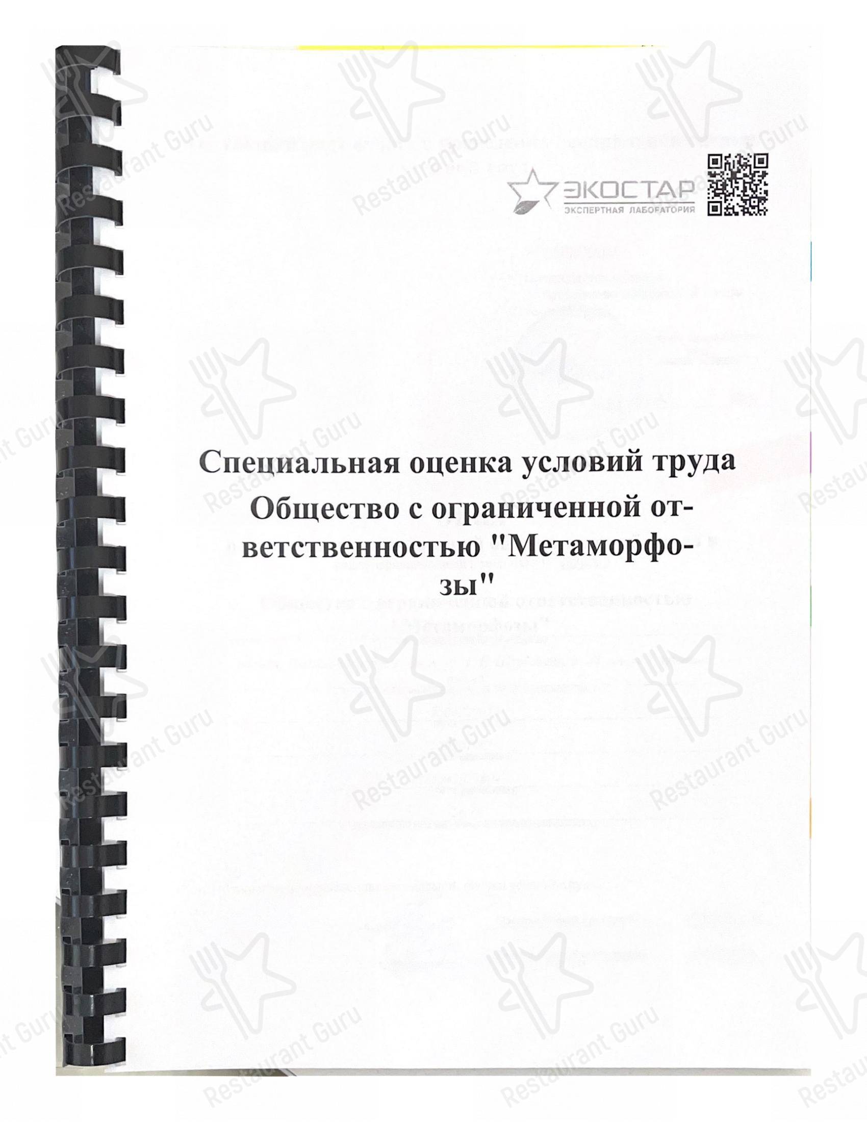 Метаморфозы в Омске - Основное меню