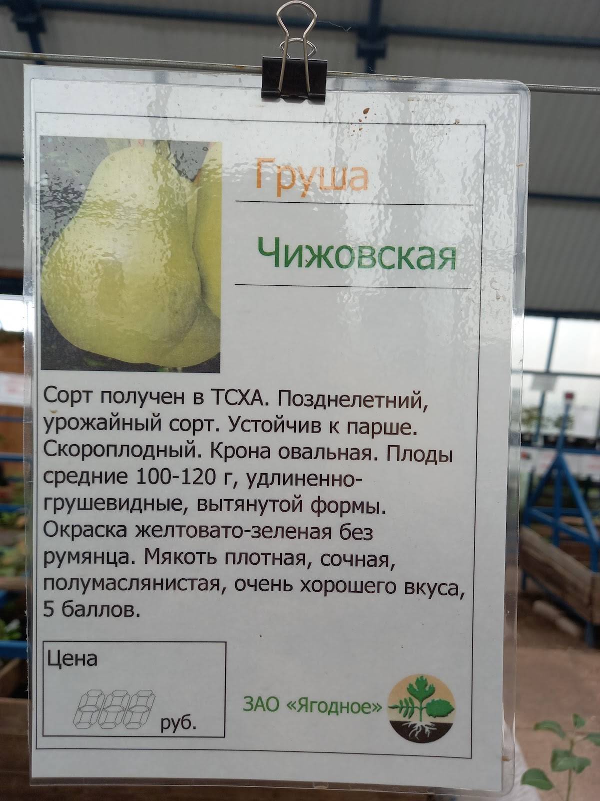 Ягодное меню