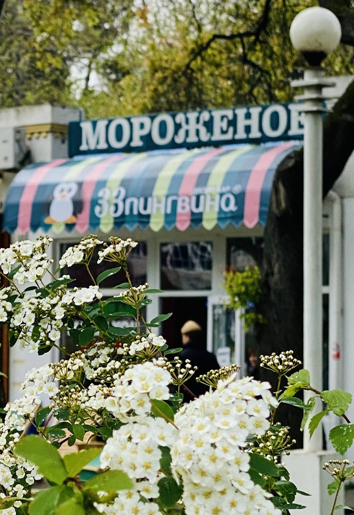 33 Пингвина меню