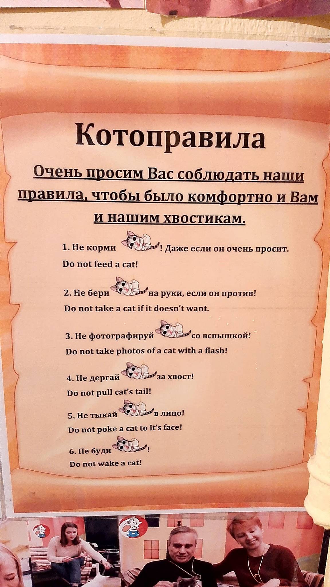 Котофейня меню