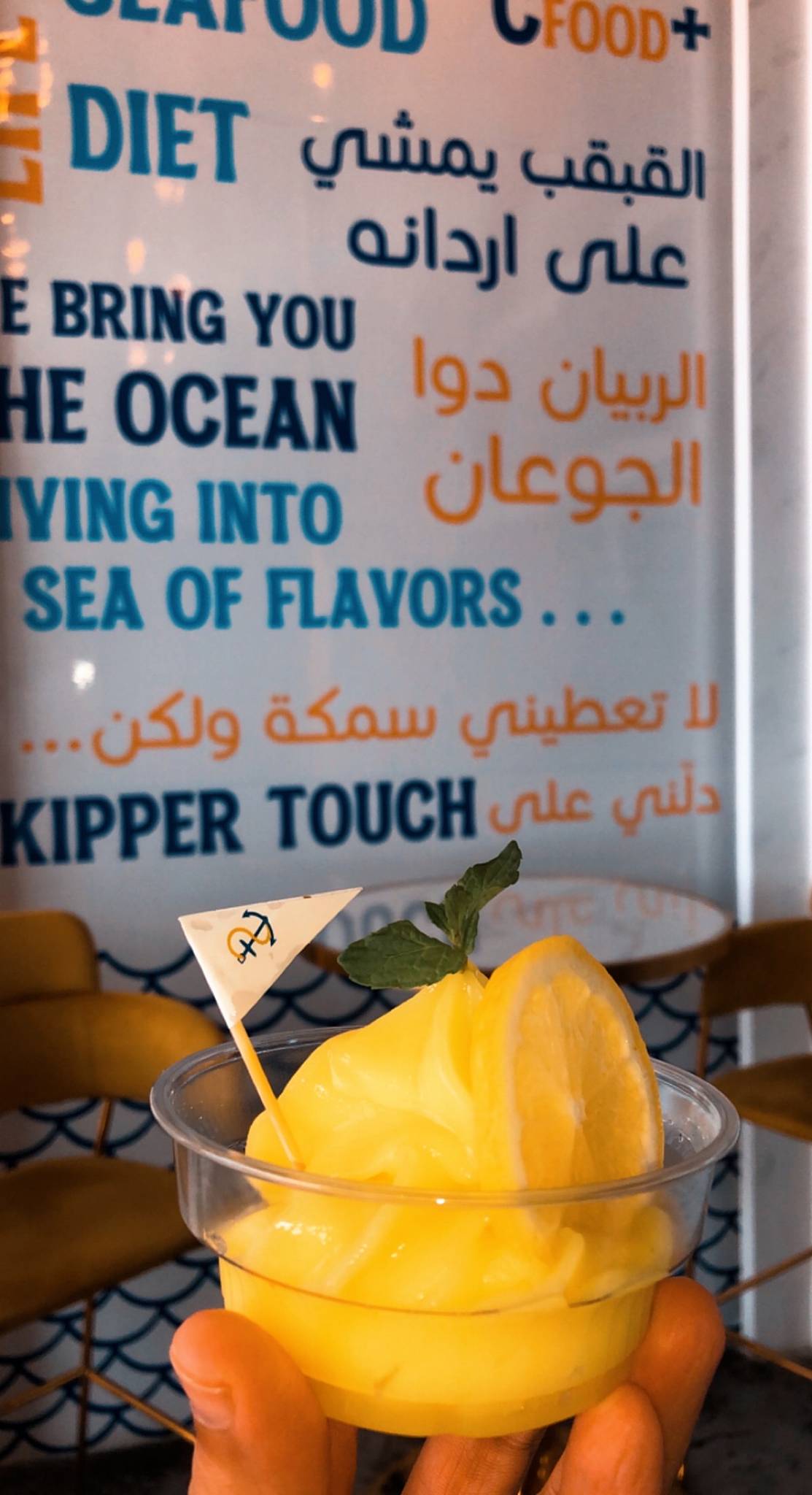 Skipper Touch меню
