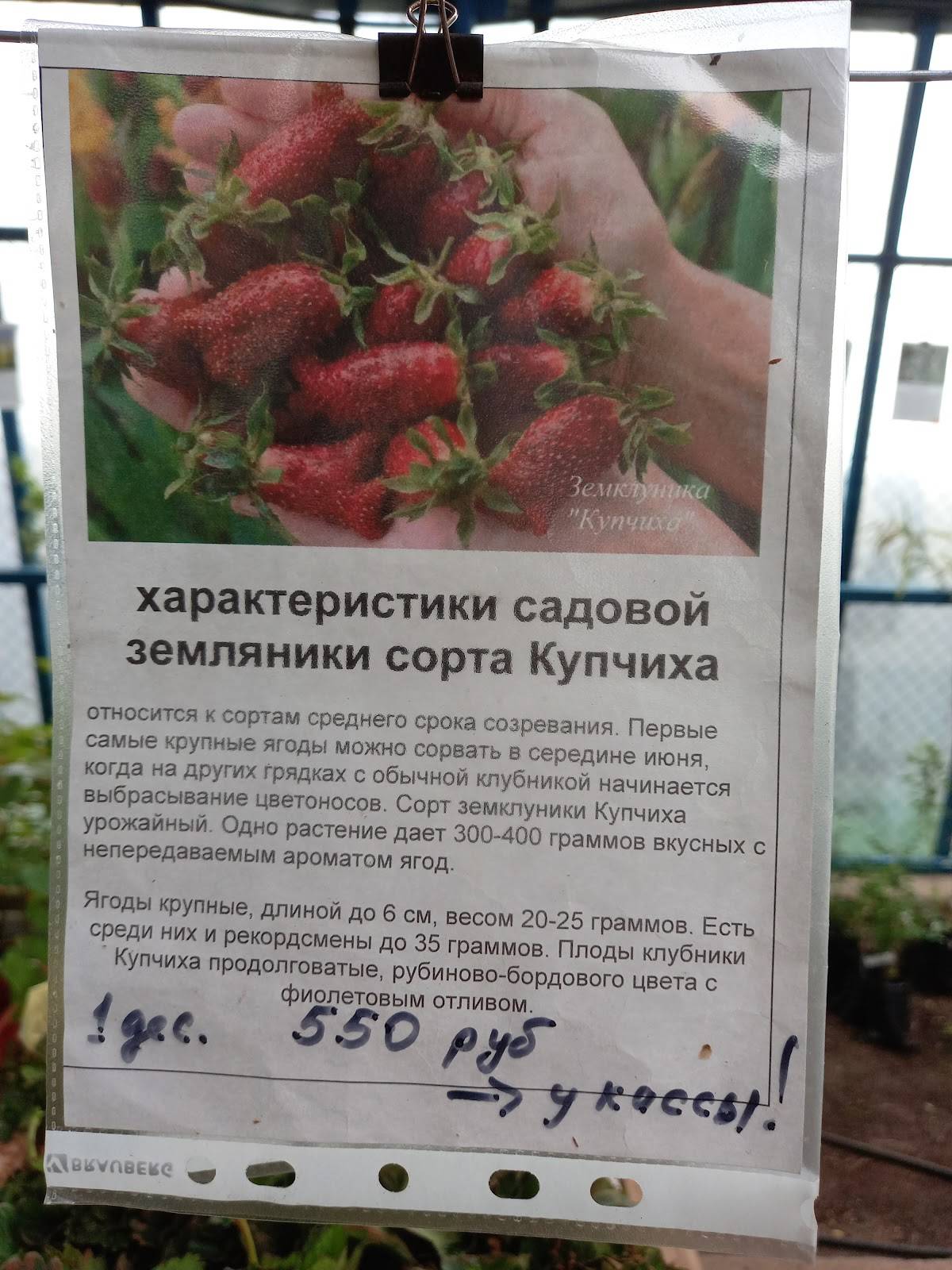 Ягодное меню