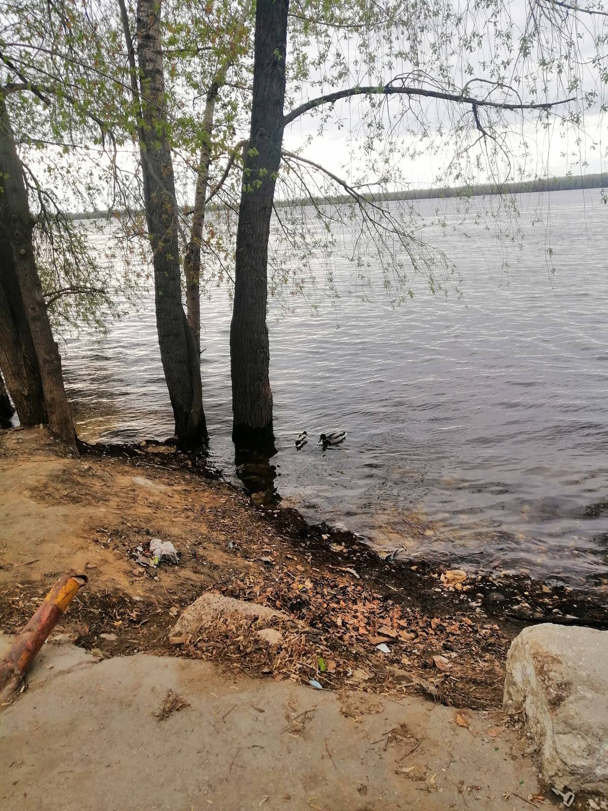 Дети лейтенанта Шмидта меню
