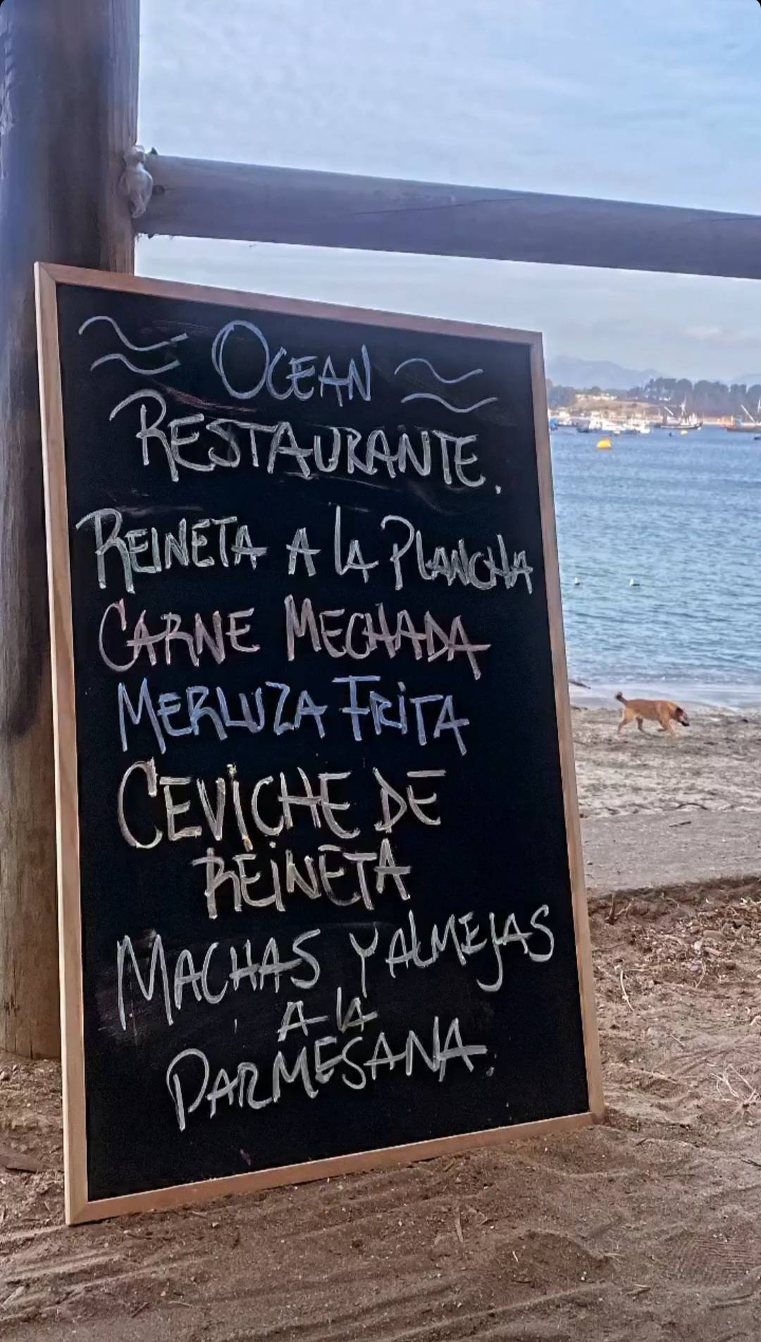 Ocean Quintero меню