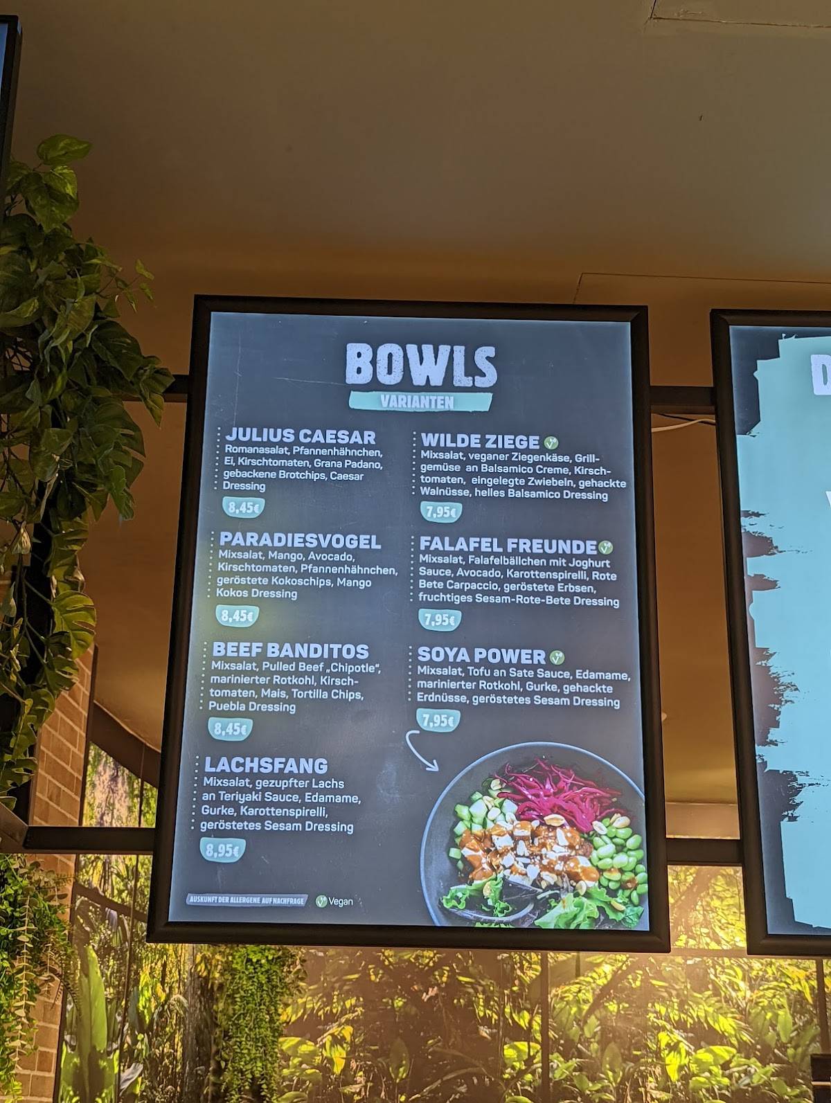 immergrün меню