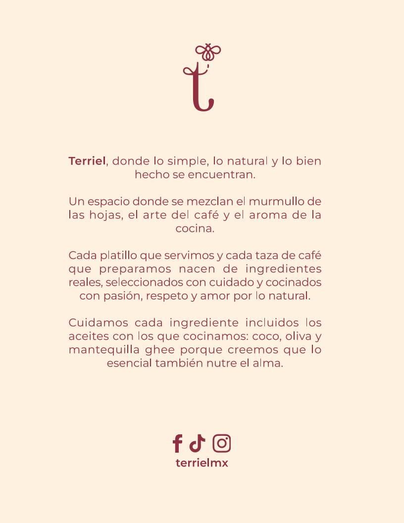 Terriel меню