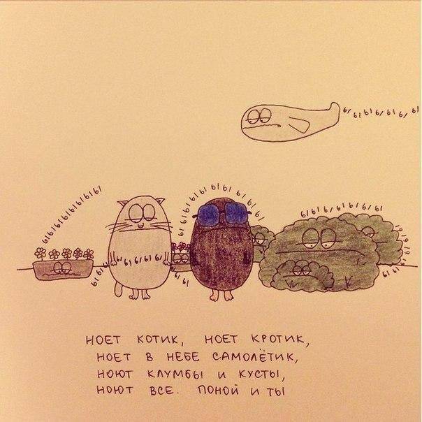 Вербена меню
